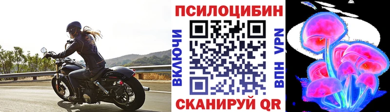 Псилоцибиновые грибы прущие грибы  Цивильск 